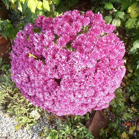 Les Galets Tracy-sur-Mer