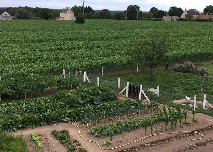 Les Galets Lejlighed *