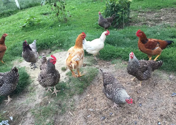 Les Galets * Tracy-sur-Mer