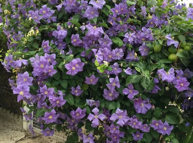 Les Galets Lejlighed Tracy-sur-Mer