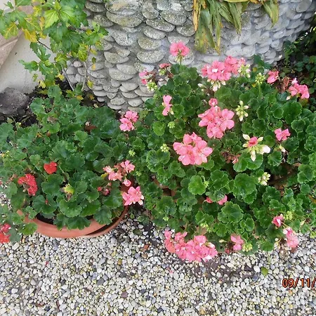 Les Galets Tracy-sur-Mer