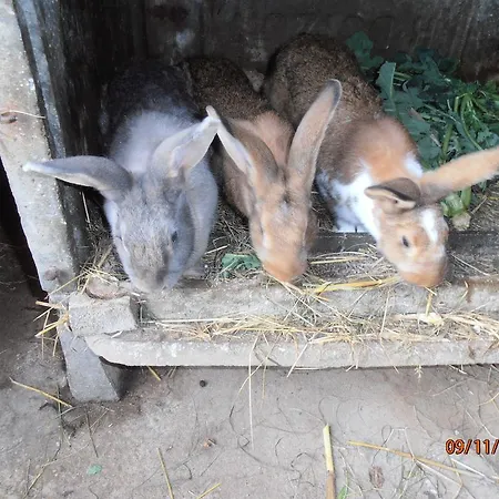 Appartement Les Galets Tracy-sur-Mer