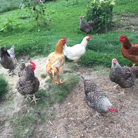 Les Galets * Tracy-sur-Mer