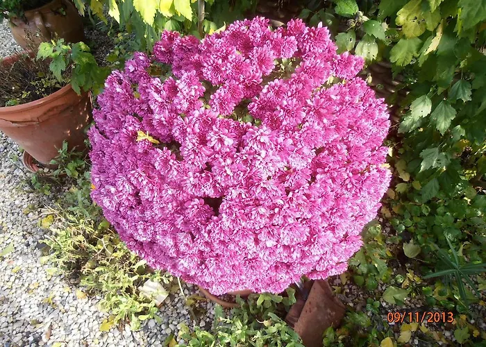 Les Galets Tracy-sur-Mer