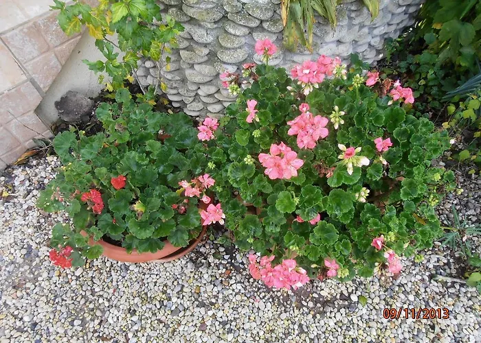 Les Galets Tracy-sur-Mer